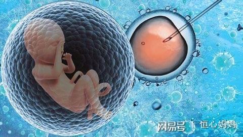 找卵代生子机构